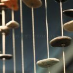 Suspended Braille