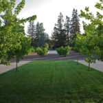 Narducci Modernist Organic Farm